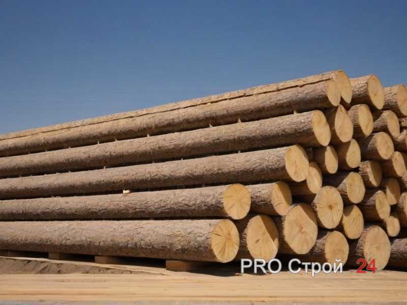 Роль дерева в поддержании теплового баланса