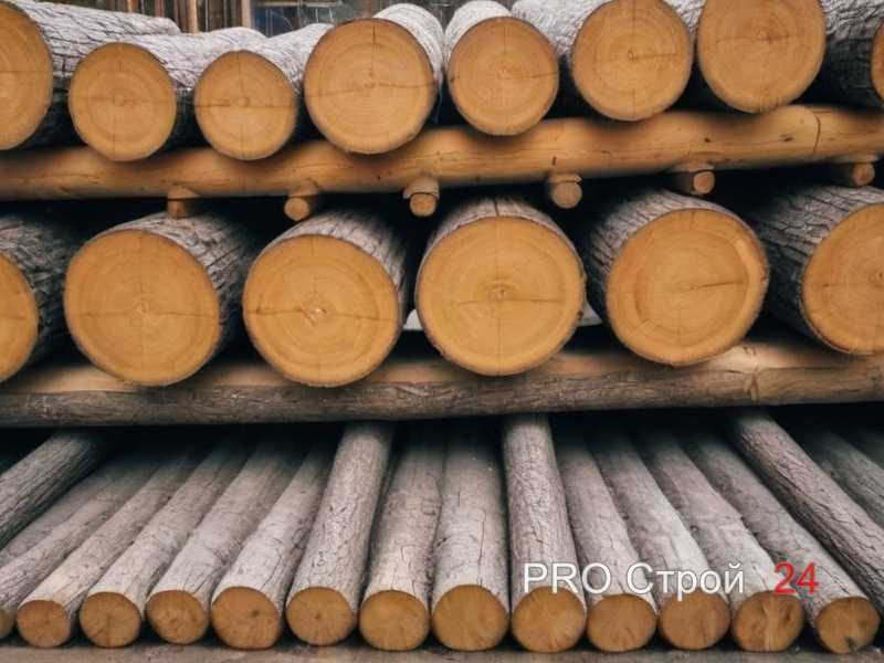 Выбор породы древесины для условий повышенной влажности