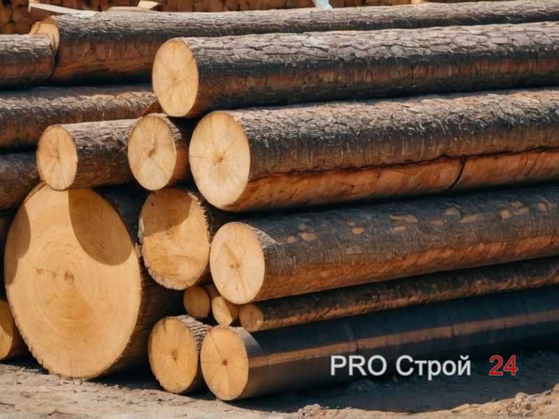 Как влажность древесины влияет на деформацию дверей