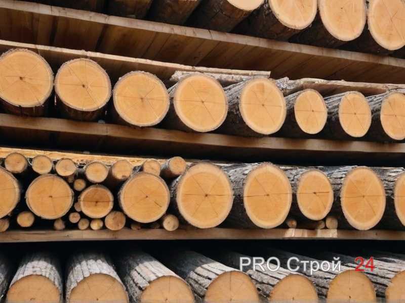 Сухой и жаркий климат