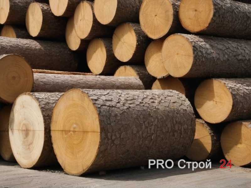 Как выбрать оттенок древесины под цветовую гамму комнаты