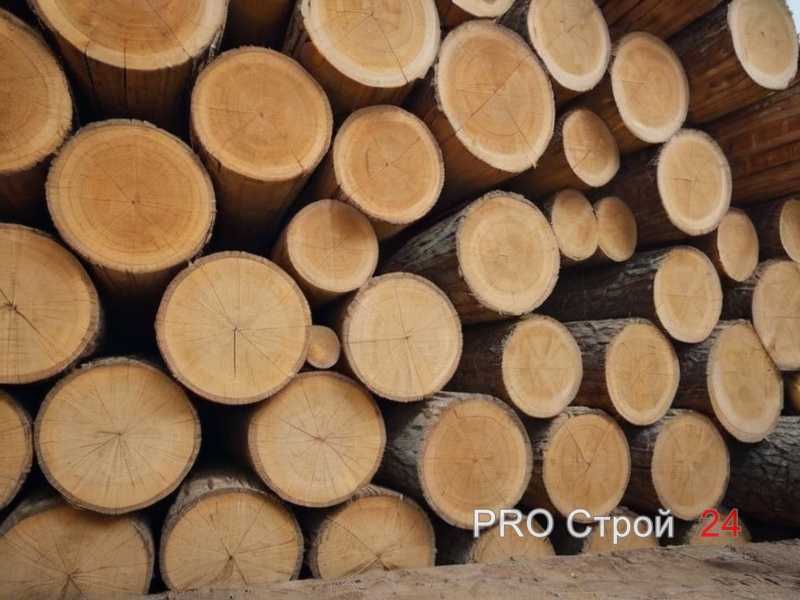 Как выбрать древесину для долговечности инструмента?