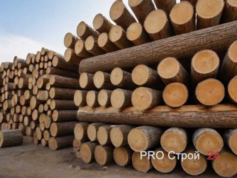 Сравнение цен и соотношение стоимости и долговечности