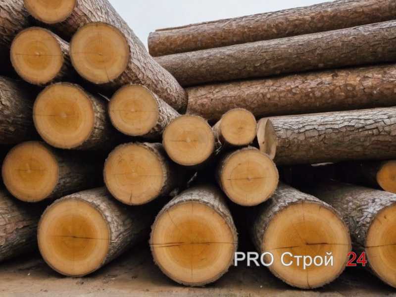 Как выбрать древесину с минимальной подверженностью растрескиванию