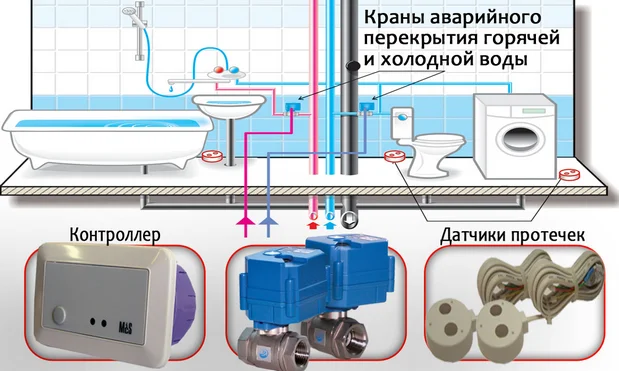 Опыт работы